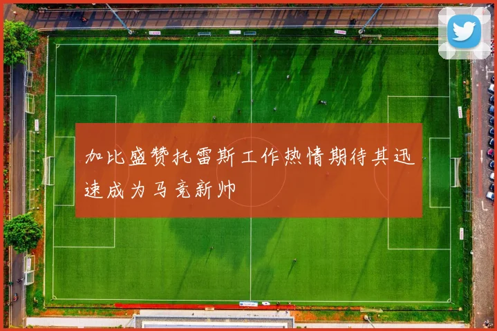加比盛赞托雷斯工作热情期待其迅速成为马竞新帅