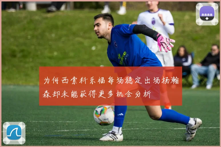 为何西索科乐福每场稳定出场杨瀚森却未能获得更多机会分析