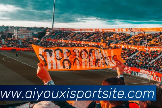 爱游戏体育平台生态图